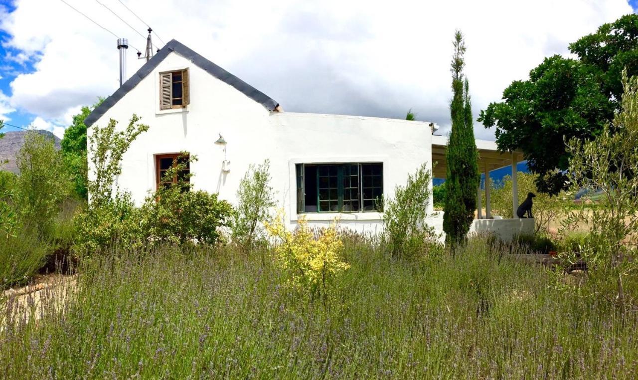 Designer Farm Cottage On Farm Franschhoek Exterior foto